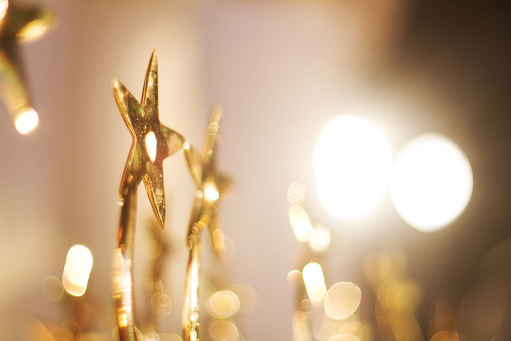 Poonam Kaur Wins Prestigious Novi Regional Award