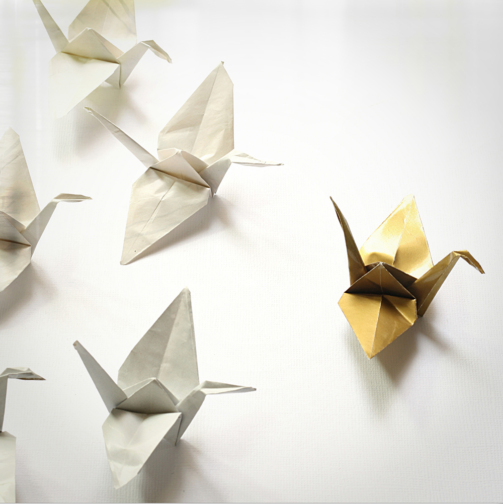 How to Be the Perfect Non-Executive Director